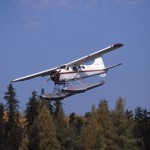 DeHavilland Beaver DHC-2